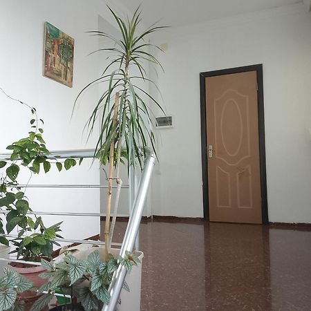 Jesis Batumi Hostel Kültér fotó