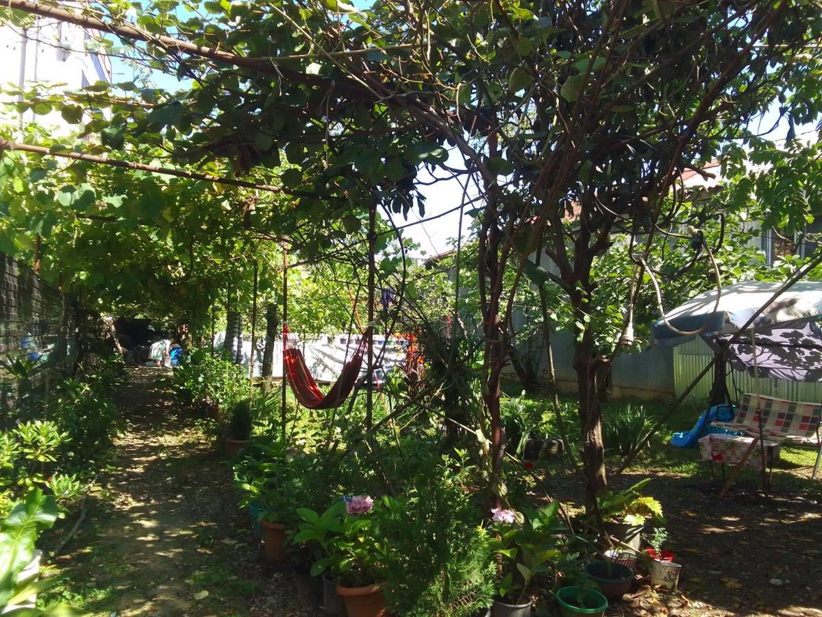 Jesis Batumi Hostel Kültér fotó